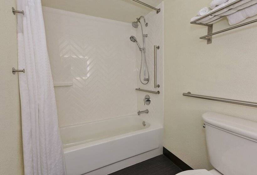 غرفة قياسية لذوى الاحتياجات الخاصة, Holiday Inn Morgantown   Reading Area, An Ihg