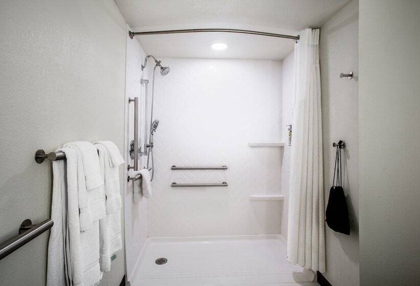 Номер Стандарт Адаптированный для Инвалидов, Holiday Inn Morgantown   Reading Area, An Ihg