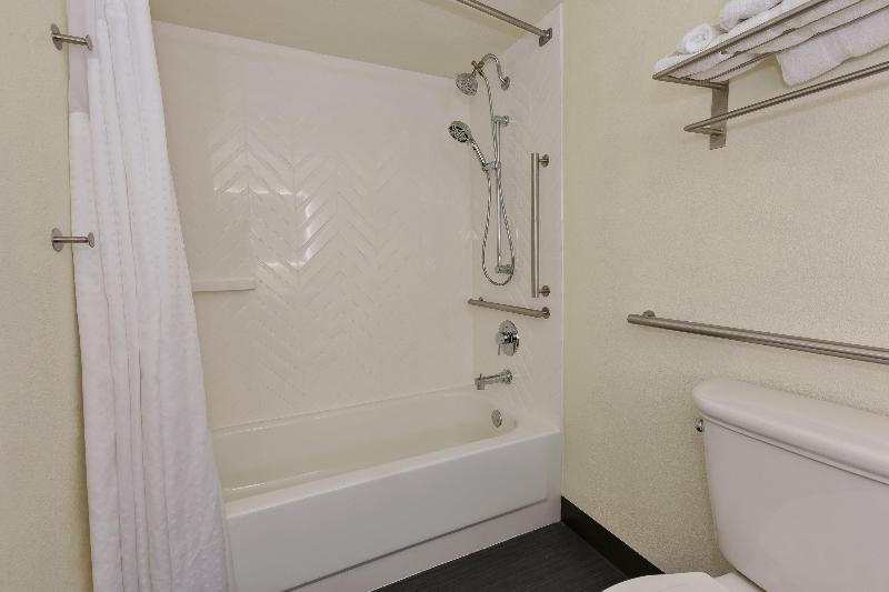 غرفة قياسية لذوى الاحتياجات الخاصة, Holiday Inn Morgantown   Reading Area, An Ihg