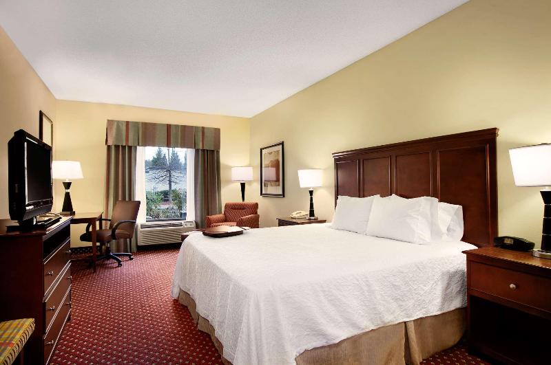 חדר סטנדרט עם מיטת קינג, Hampton Inn Atlantastockbridge