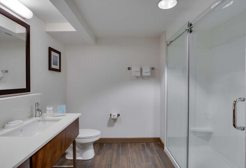 חדר סטנדרט, Hampton Inn Debary/deltona