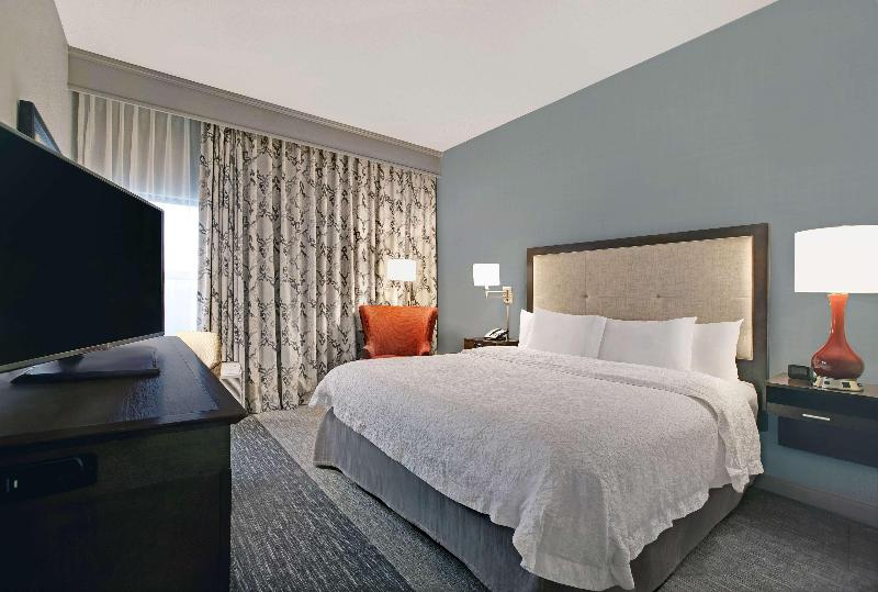 장애인을 위한 킹사이즈 침대 스탠다드 룸, Hampton Inn Greenville I 385   Woodruff Rd