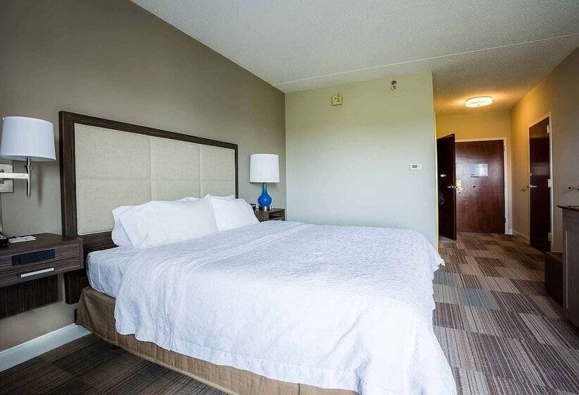 장애인을 위한 킹사이즈 침대 스탠다드 룸, Hampton Inn Somerset