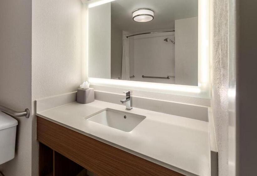 Номер Стандарт Кровать Кинг Адаптированный для Инвалидов, Holiday Inn Express   New Albany