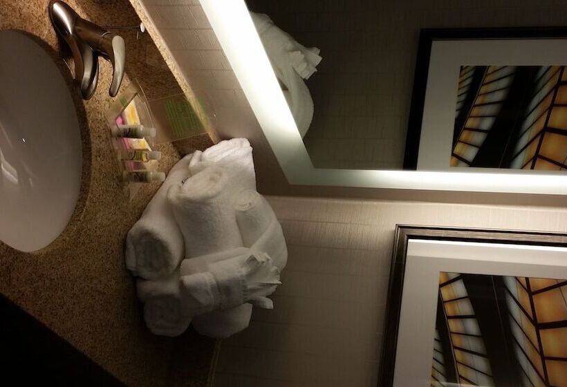 Люкс, Holiday Inn Greenville, An Ihg