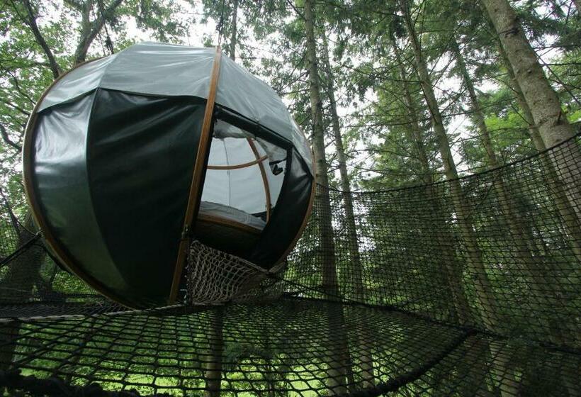 Номер Стандарт, Insolite Dans Les Arbres Les Ormes, Epiniac