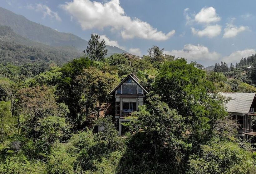 Шале Deluxe 1 Спальня, Treehouse Chalets