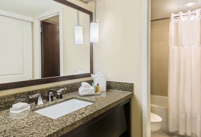 行政房间, Hilton St. Louis At The Ballpark