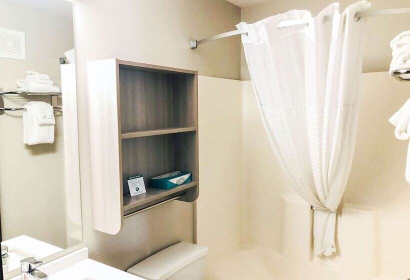 Номер Стандарт Адаптированный для Инвалидов, Microtel Inn & Suites By Wyndham Eagan/st Paul