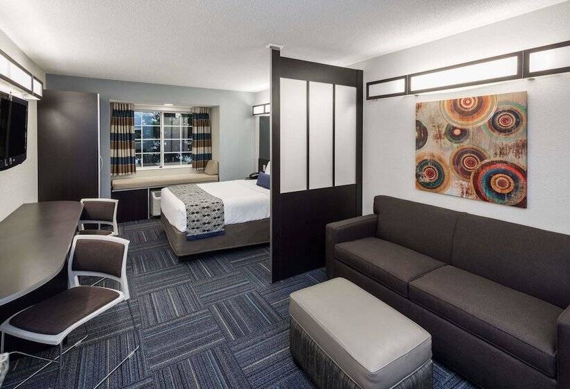 스위트, Microtel Inn & Suites By Wyndham Greenville / Woodruff Rd