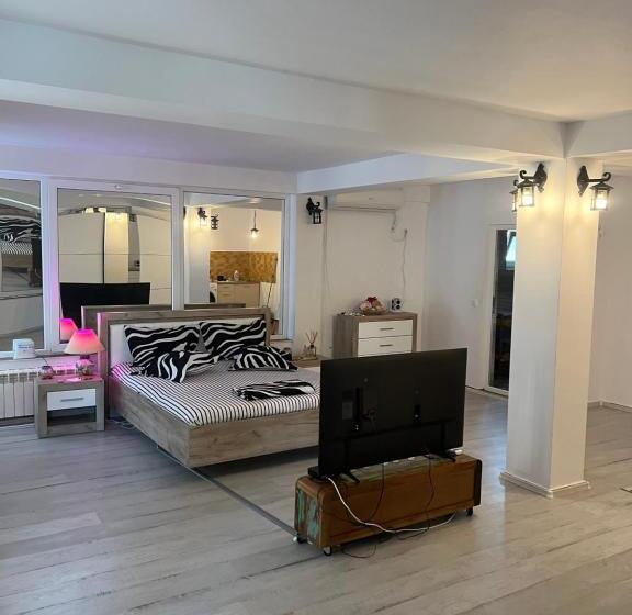 스탠다드 스튜디오, Vila Alga