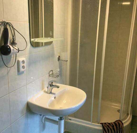 غرفة قياسية, Penzion  Leslav