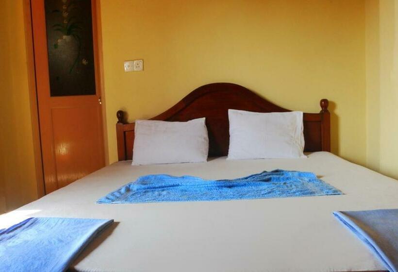 Номер Стандарт, New Sea Lion Guest House