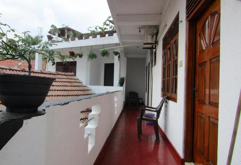 Номер Стандарт, New Sea Lion Guest House