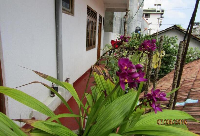 Апартаменты 1 Спальня с Балконом, New Sea Lion Guest House