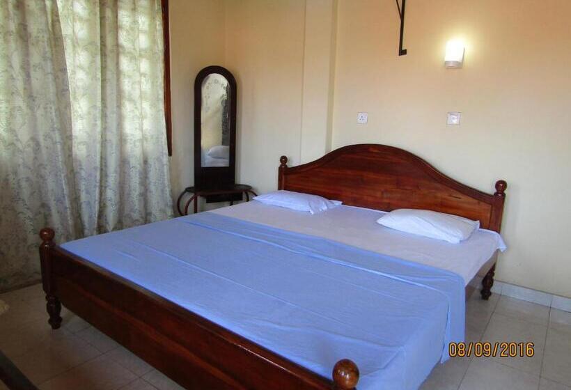 Номер Стандарт, New Sea Lion Guest House
