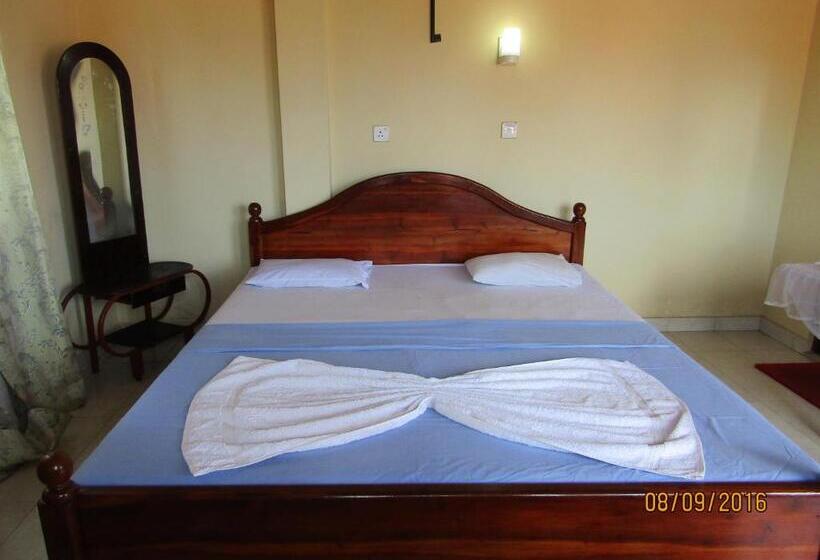 Номер Стандарт, New Sea Lion Guest House