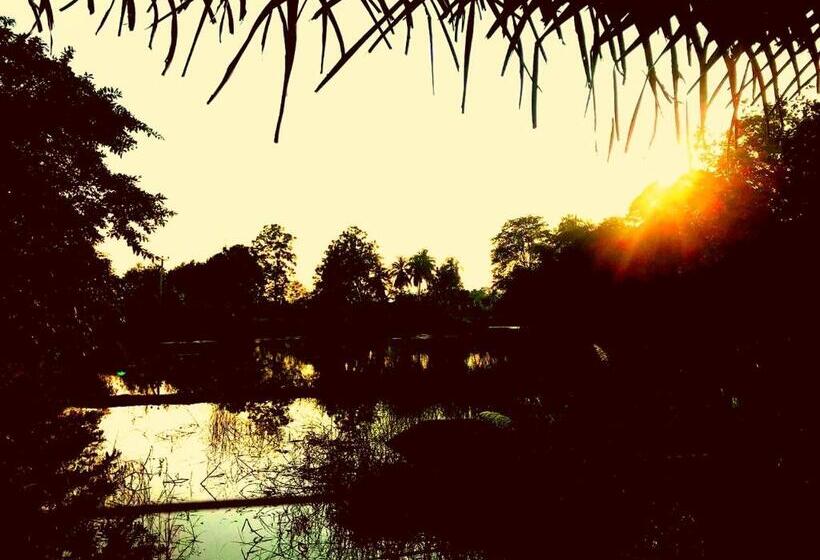 带大床的标准间, Aliya Riverside & Safari Resort