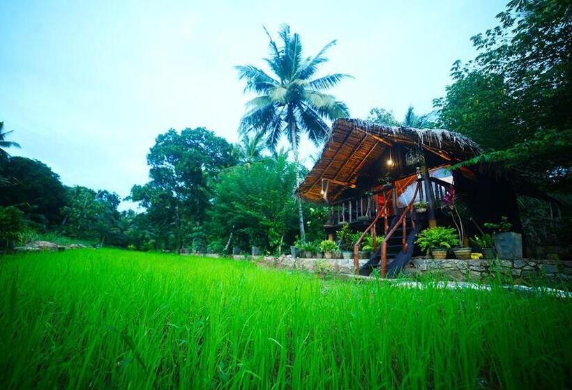 带大床的标准间, Aliya Riverside & Safari Resort
