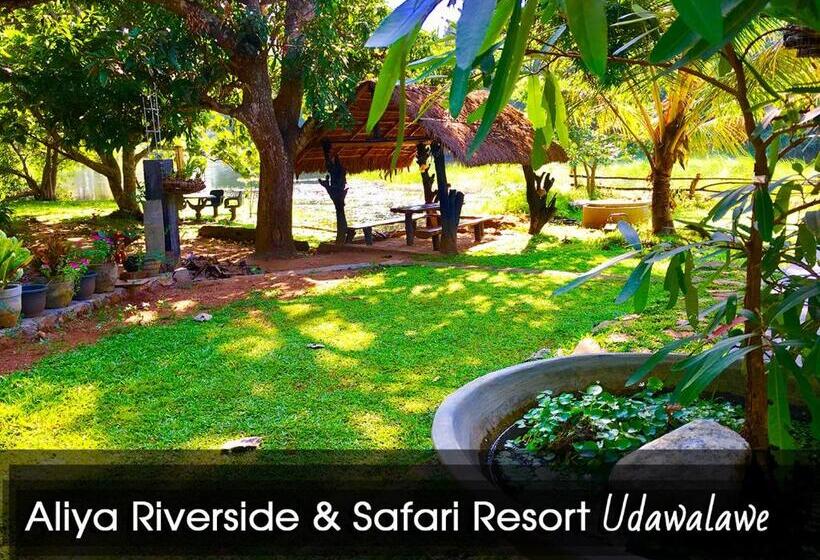 带大床的标准间, Aliya Riverside & Safari Resort