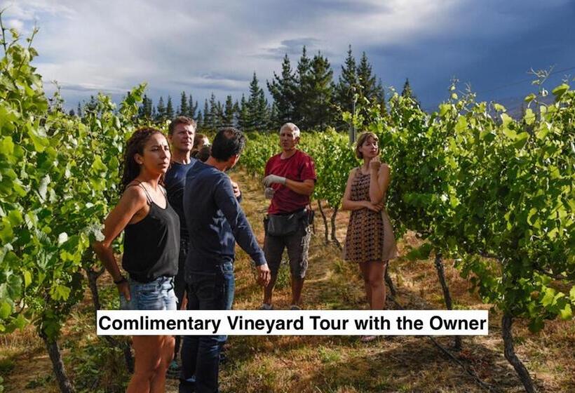 디럭스 스위트, Grey Ridge Vineyard Experience