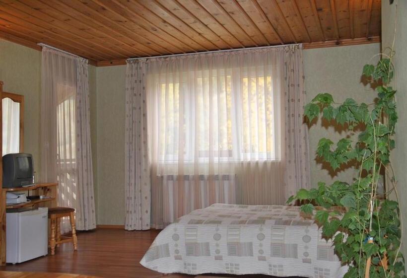 Полулюкс с Балконом, Family Hotel Shoky