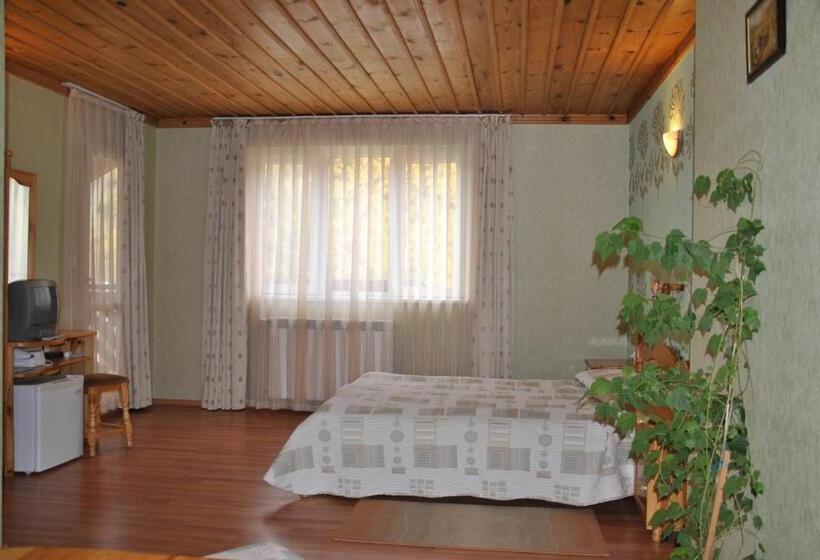 Полулюкс с Балконом, Family Hotel Shoky