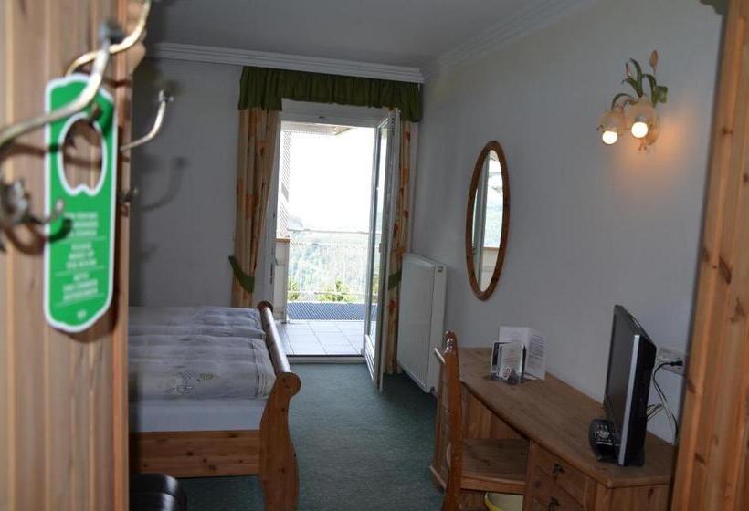 Семейный Номер Deluxe, Alpenlandhotel Rodeneggerhof