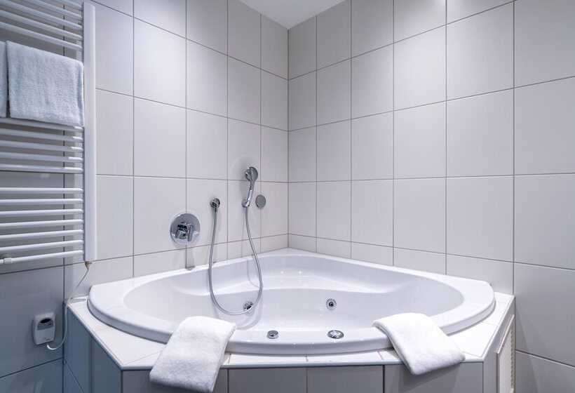 Полулюкс, B Smart Hotel Schönenwerd