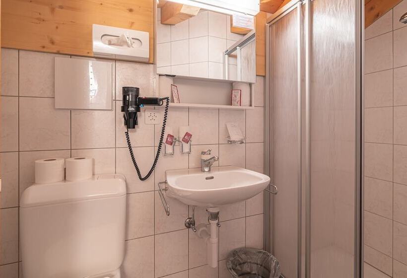 Номер Стандарт Индивидуальный, Aktiv  Und Genusshotel Alpenblick