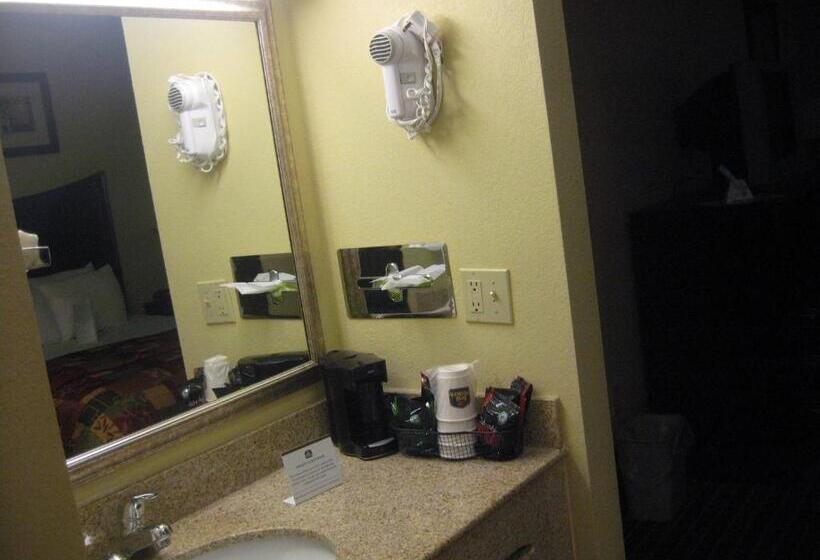 Номер Стандарт Кровать Квин Адаптированный для Инвалидов, Best Western Canal Winchester Inn  Columbus South East