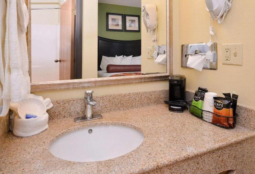 Номер Стандарт Кровать Квин Адаптированный для Инвалидов, Best Western Canal Winchester Inn  Columbus South East