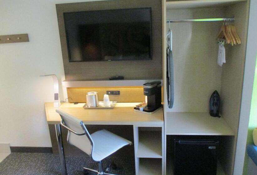장애인을 위한 스탠다드 룸, Best Western El Paso Airport Entrada