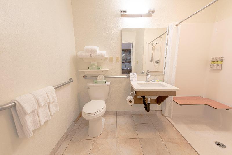 Люкс Адаптированный для Инвалидов, Candlewood Suites West Springfield, An Ihg