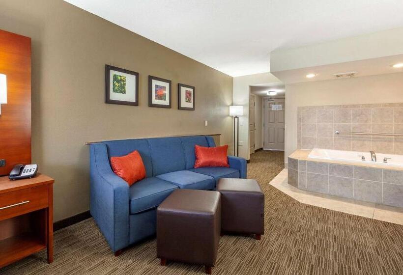 Стандартный Номер Кровать Кинг, Comfort Suites