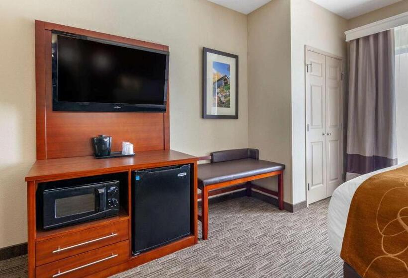 Люкс Адаптированный для Инвалидов, Comfort Suites