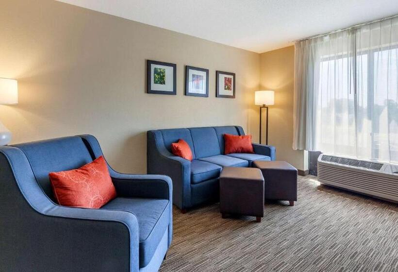 Люкс Кровать Кинг, Comfort Suites