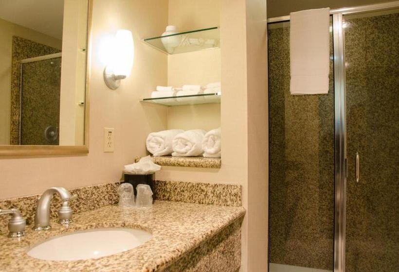 Номер Executive Кровать Кинг, Holiday Inn Hotel Pewaukee Milwaukee West, An Ihg