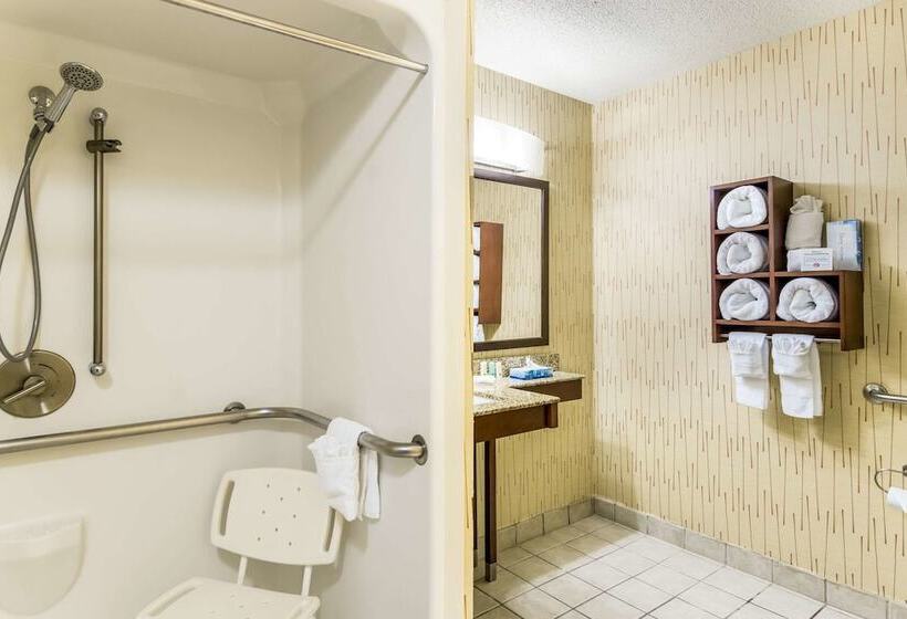 Люкс Адаптированный для Инвалидов, Quality Inn Chester South Richmond