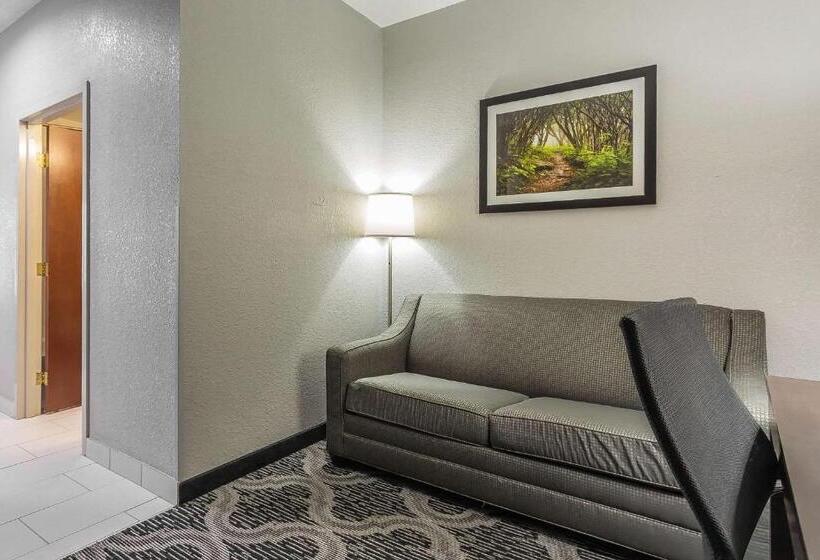 Люкс Повышенной Комфортности, Quality Suites Pineville  Charlotte