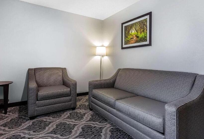 Люкс Повышенной Комфортности, Quality Suites Pineville  Charlotte