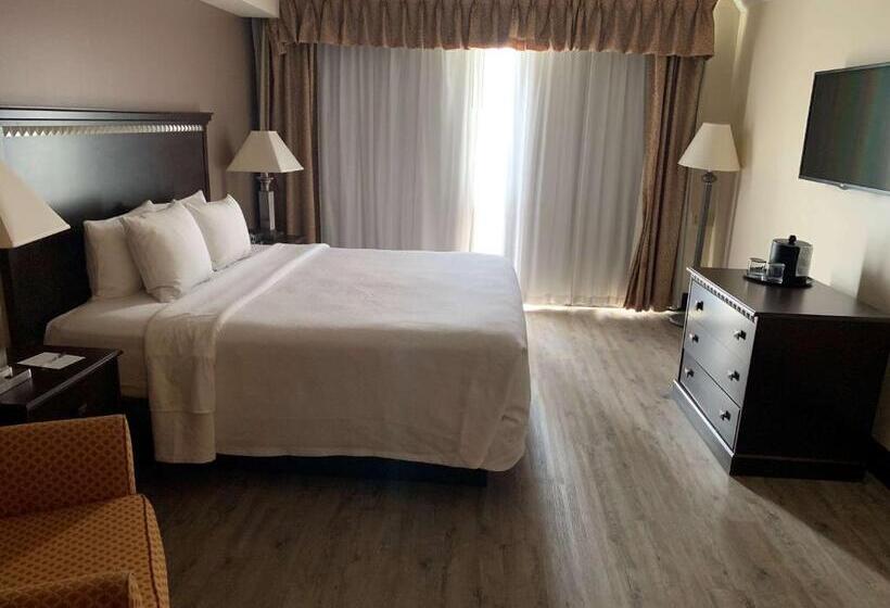 اتاق استاندارد با تخت بزرگ, Radisson Hotel Lenexa Overland Park