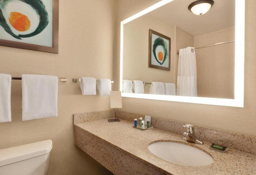 سوئیت با وان آب گرم, Radisson Hotel Lenexa Overland Park