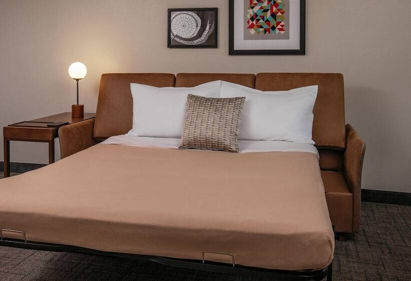 Люкс Адаптированный для Инвалидов, Residence Inn By Marriott Norfolk Airport