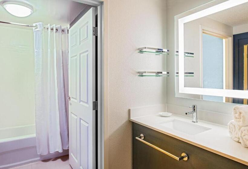 Люкс, Residence Inn By Marriott Norfolk Airport