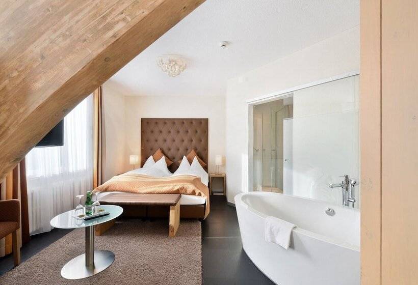 Полулюкс, B Smart Hotel Schönenwerd