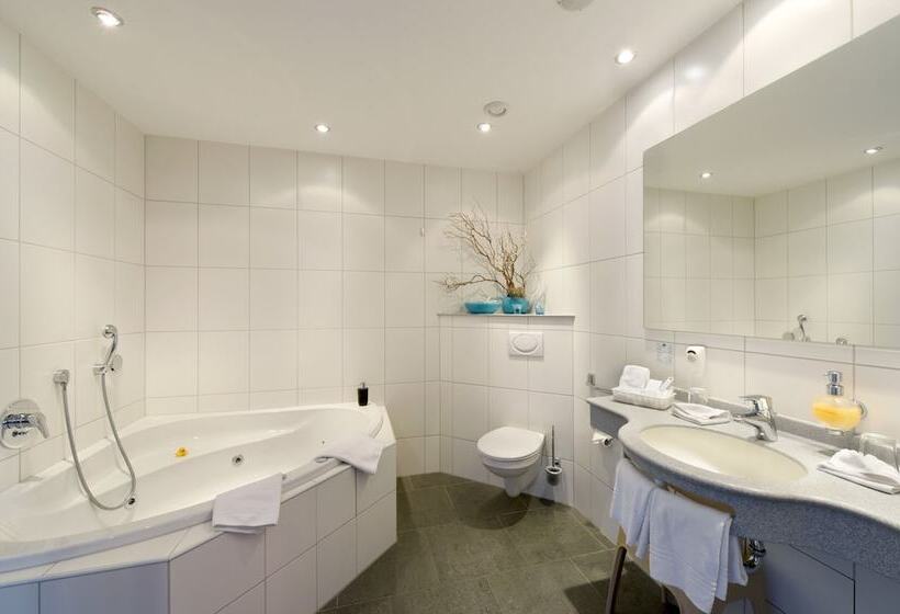 Полулюкс, B Smart Hotel Schönenwerd