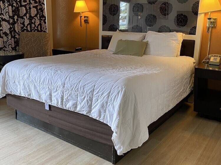 Standart Oda, Budget Inn At The Heavenly Gondola