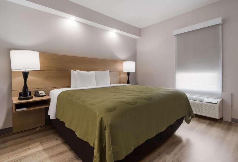 Номер Стандарт Кровать Кинг Адаптированный для Инвалидов, Quality Inn Goldsboro