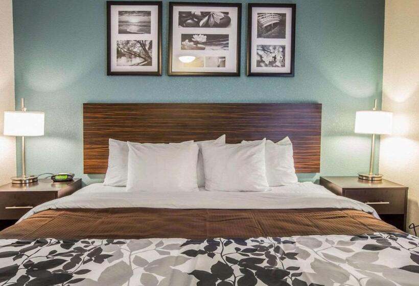 带大床的标准间, Sleep Inn Greensboro Airport